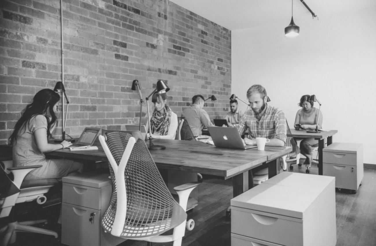 corvami founder reviewing course content